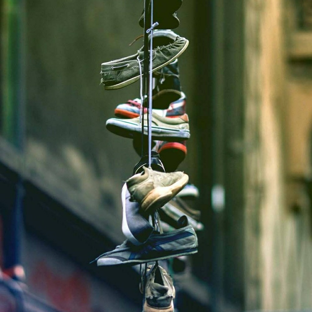 Meet your Posher, Prisilla